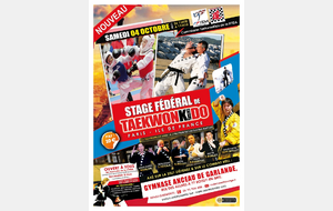 Stage Fédéral Taekwonkido