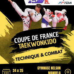 Coupe de France Taekwonkido Technique et Combat